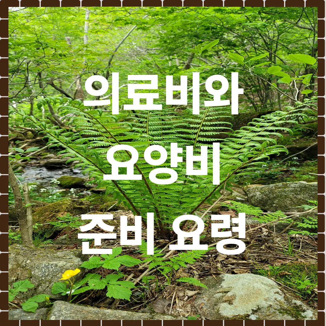 의료비와 요양비, 어떻게 준비할까? 노후 건강자산 전략