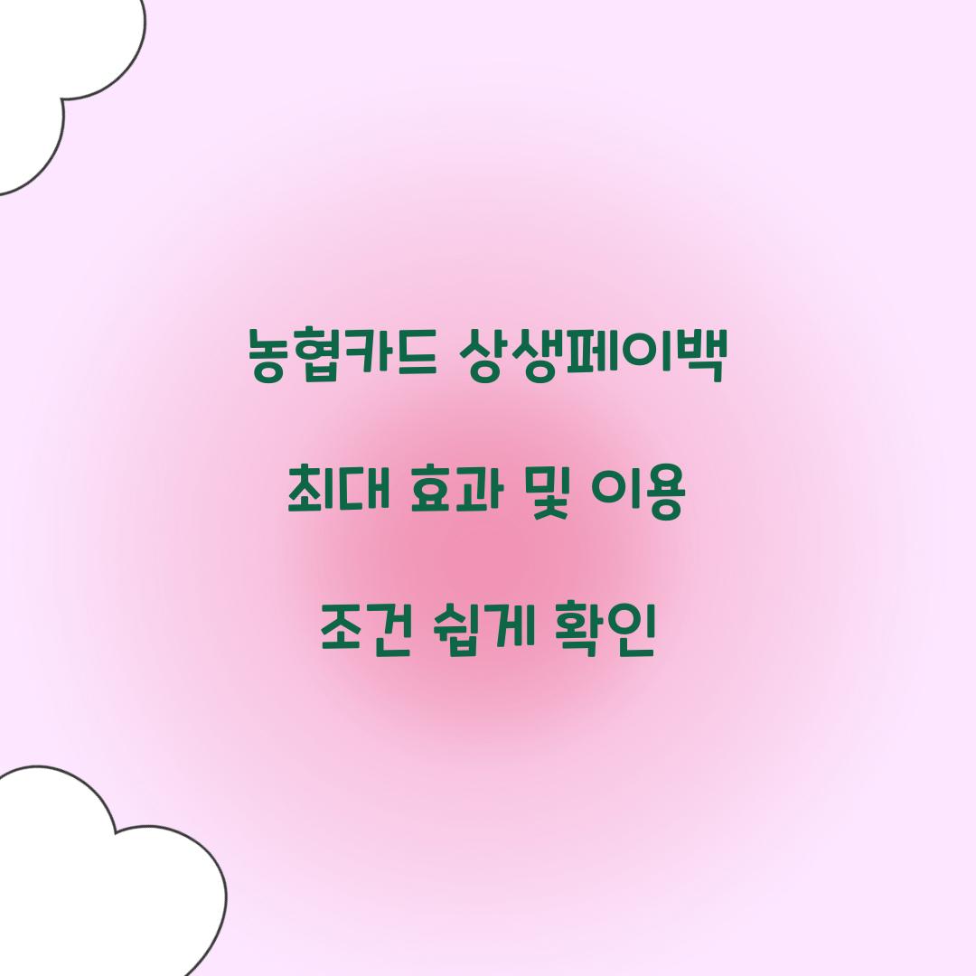 농협카드 상생페이백