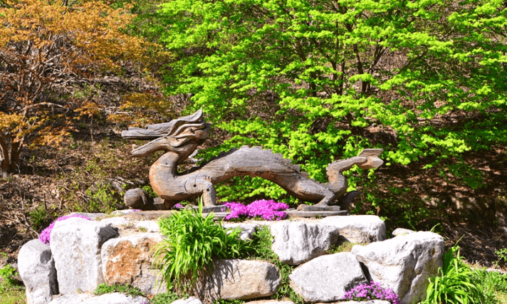 담양 가볼만한곳 베스트10