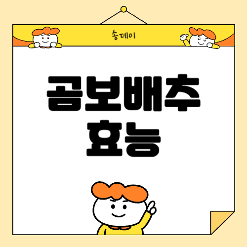 곰보배추 효능 및 효과, 부작용