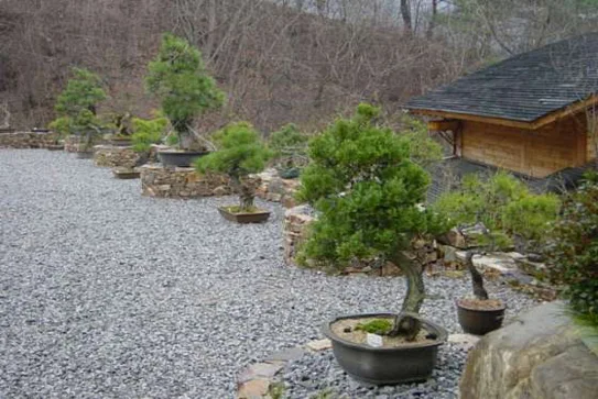 조선민화박물관