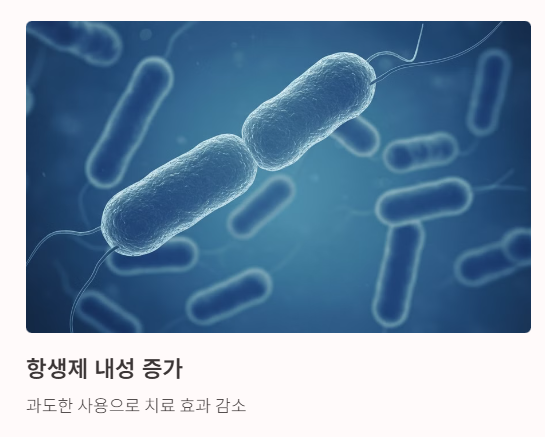 항생제 연고 부작용 2