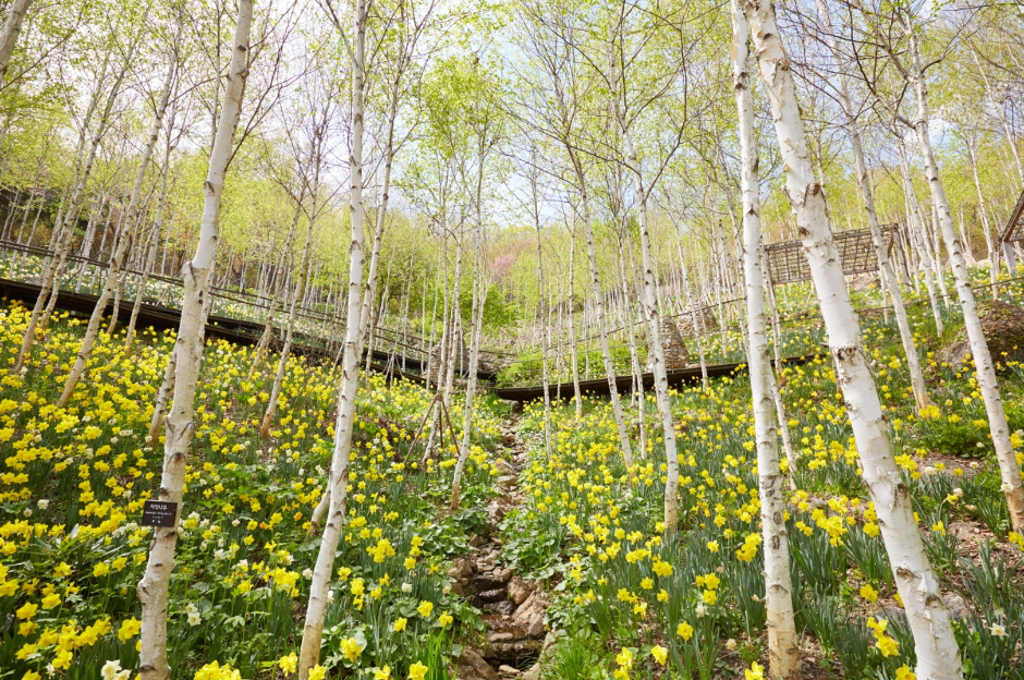화담숲-이미지 출처@대한민국 구석구석