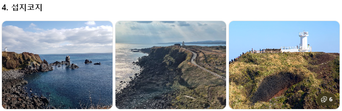 제주 쏠라티&middot;카니발 투어 비교! 기사 포함 제주 승합차투어 요금&middot;코스&middot;후기 총정리