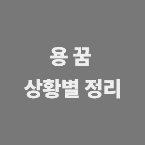 용에 관한 꿈 상황별 정리
