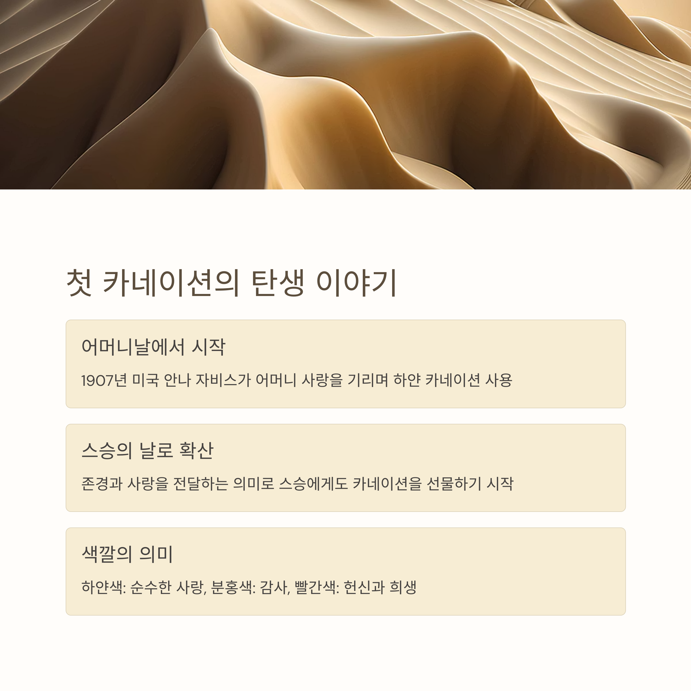 스승의날 유래와 의미 - 첫 카네이션 이야기