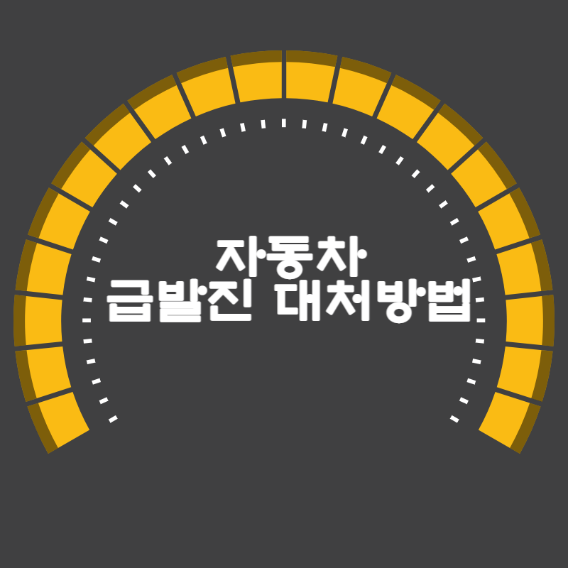 자동차 급발진 대처 방법