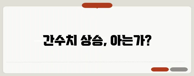 간수치가 높으면 나타나는 증상 원인과 관리 방법