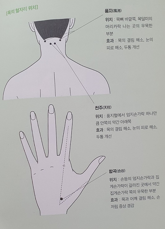 목의-혈자리-위치