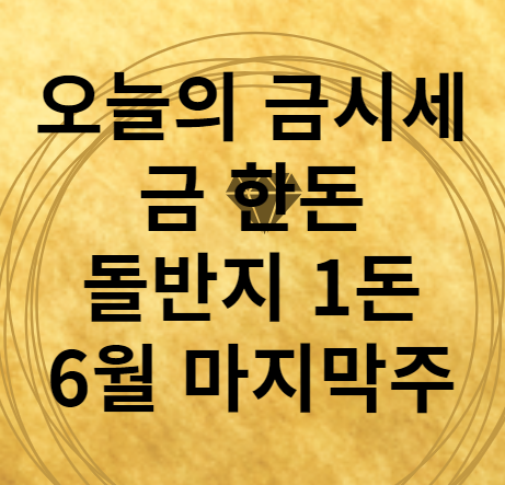 오늘의 금시세 금한돈