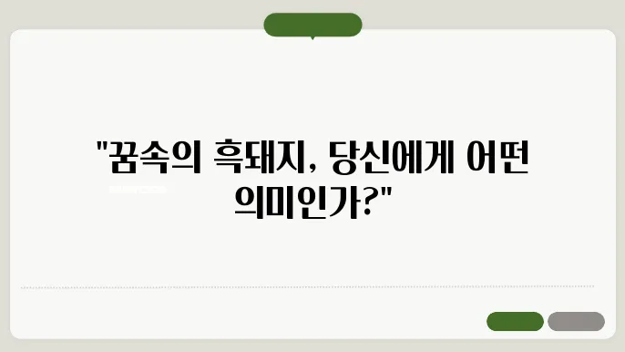 흑돼지 태몽 해석을 위한 이미지