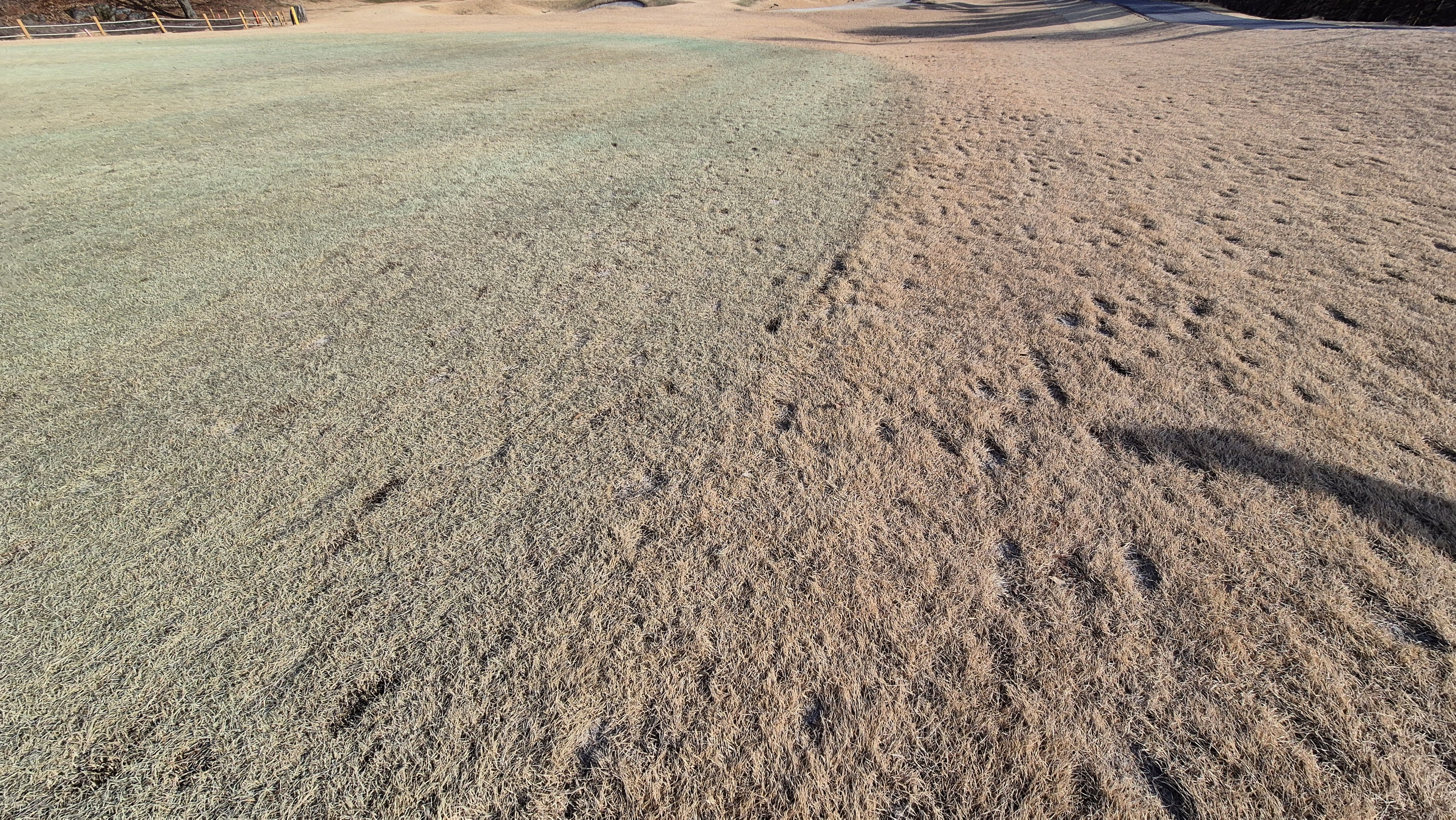 로제비앙gc 로제-비앙 코스 관리 상태