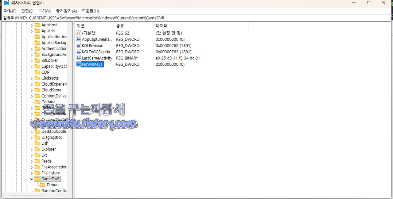 NoWinKeys 등록