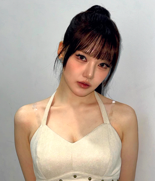 정읍벚꽃축제