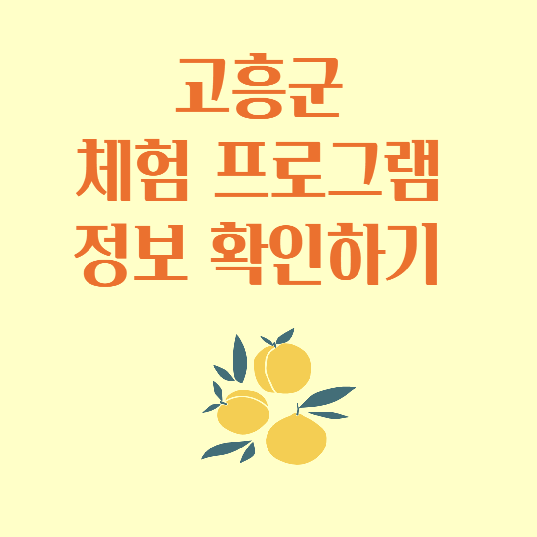 고흥군 체험 프로그램 정보 확인하기