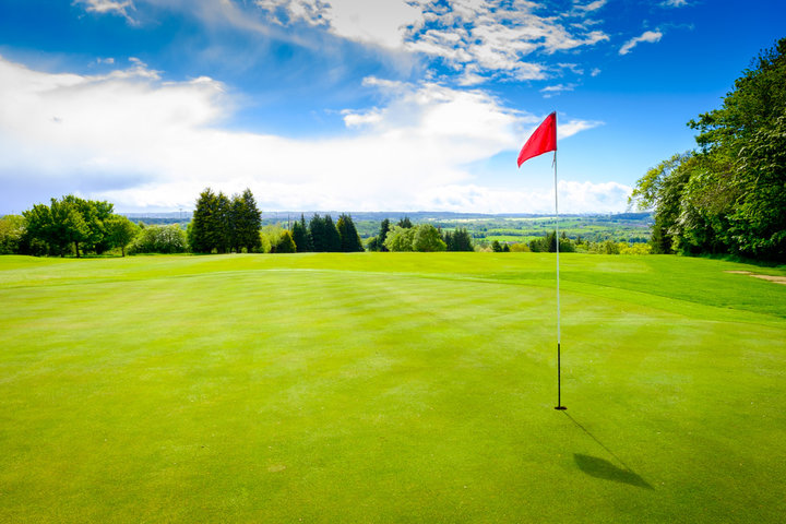 골프 샷건 방식 특징 및 장점&amp;#44; 방식