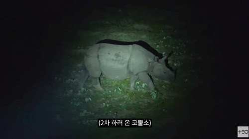 정글타워 체험6
