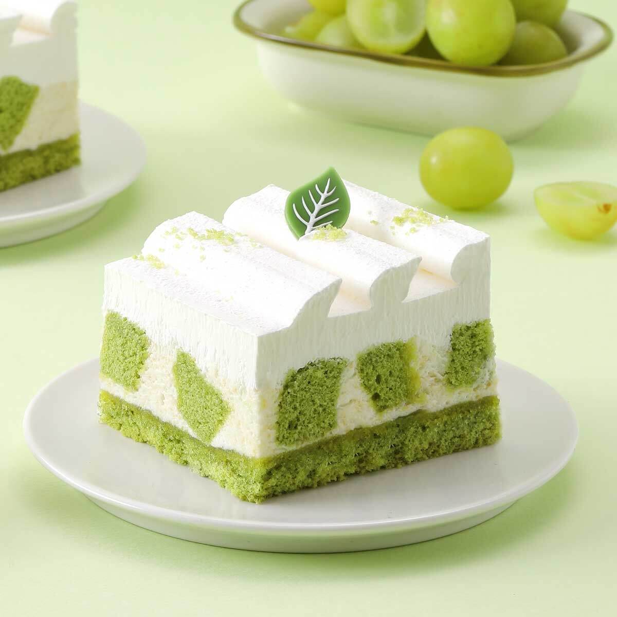 면역 기능을 향상