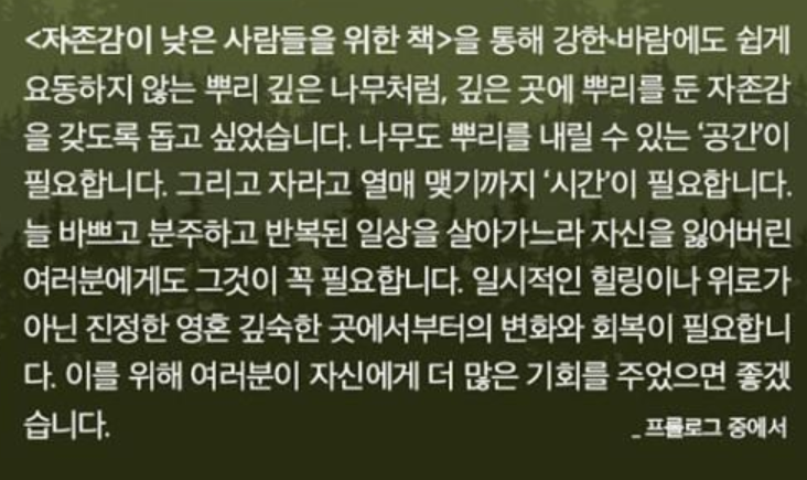 자존감이 낮은 사람들을 위한 책