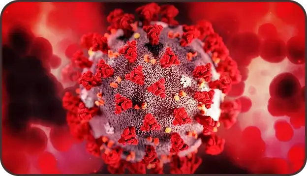 백일해 증상 및 치료 (+격리기간)