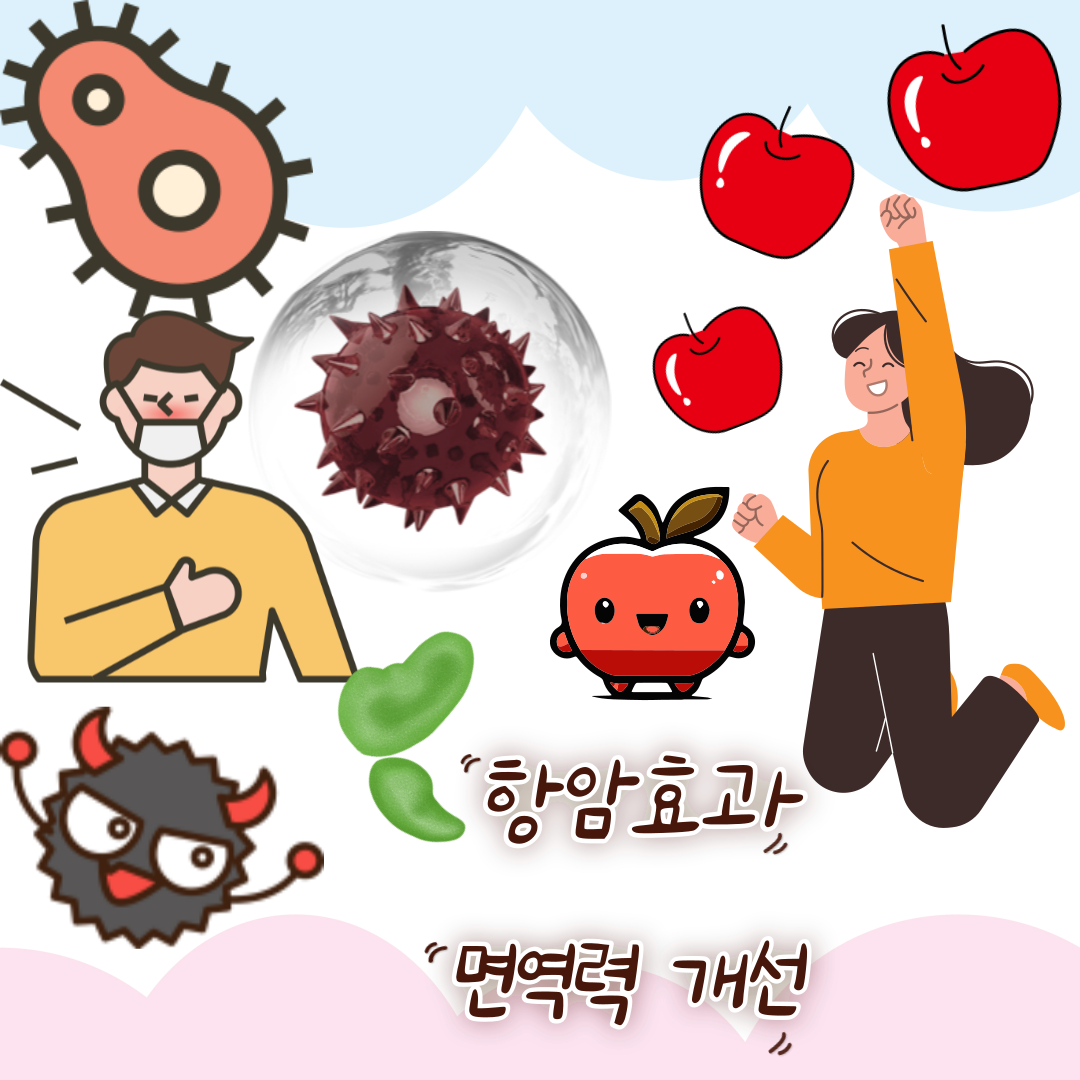 사과의 효능