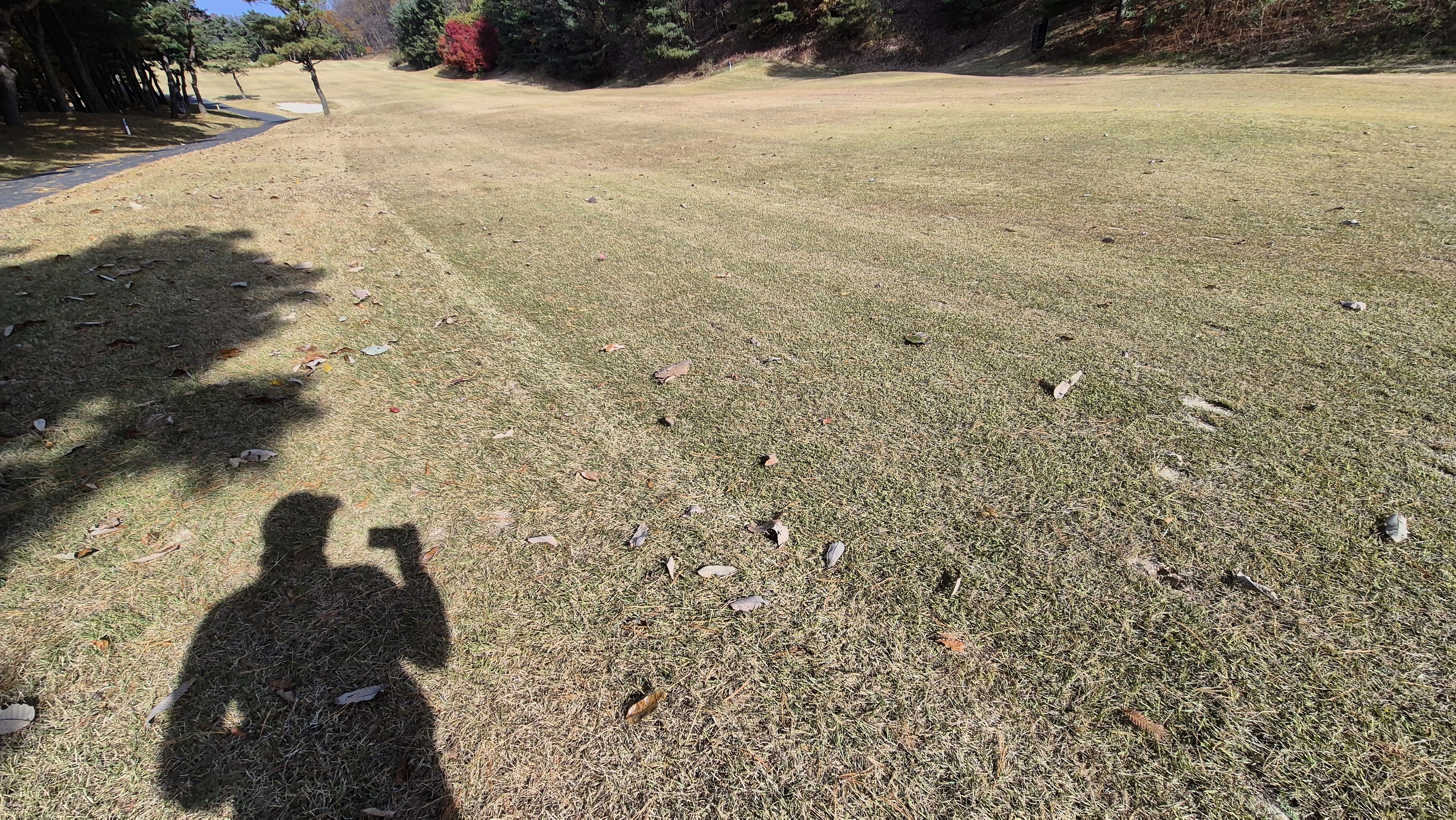 세종에머슨cc 밸리-마운틴 코스관리 상태