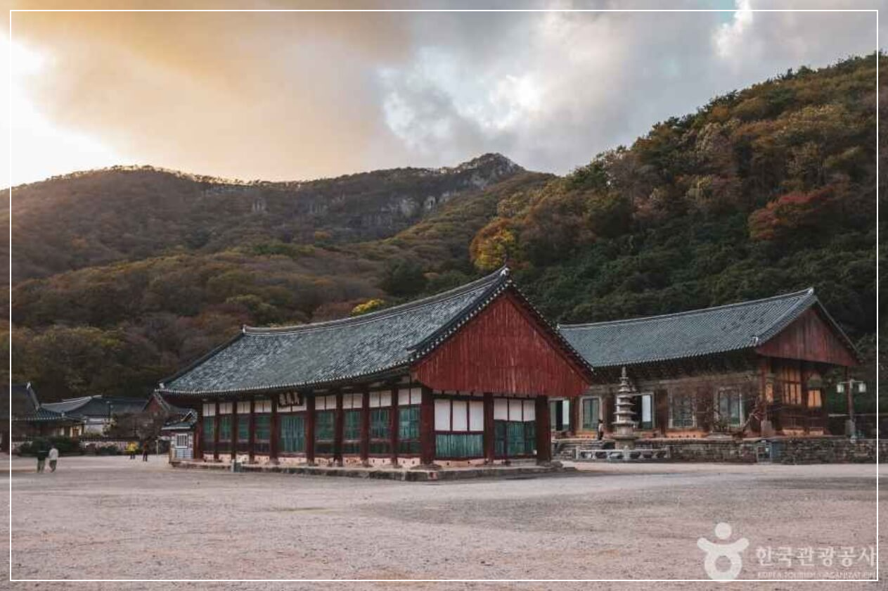 고창 가볼만한곳 베스트10 선운사