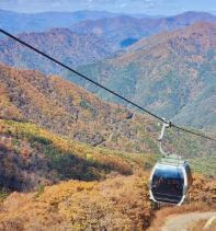 가리왕산 케이블카 등산코스&amp;#44; 요금&amp;#44; 맛집 총정리