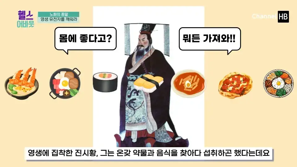 일본 NMN 영양제