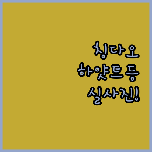 하얏트 리젠시부터 월드 호텔까지 칭다..