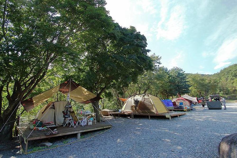 대관령 솔내음오토캠핑장 소개