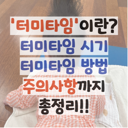 터미타임