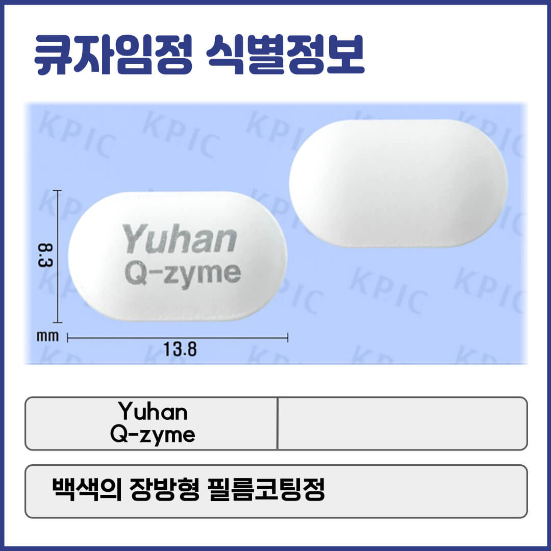 큐자임정 식별정보