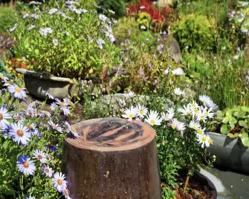 아침고요수목원_6