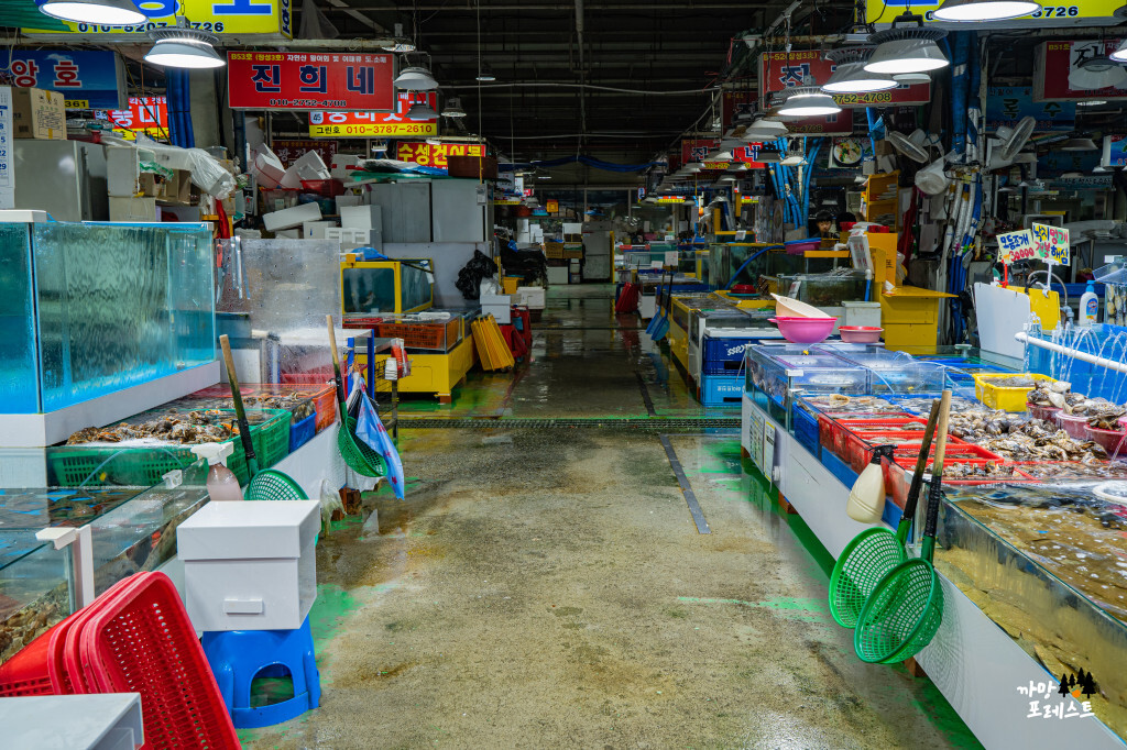 궁평항 수산물 시장 내부