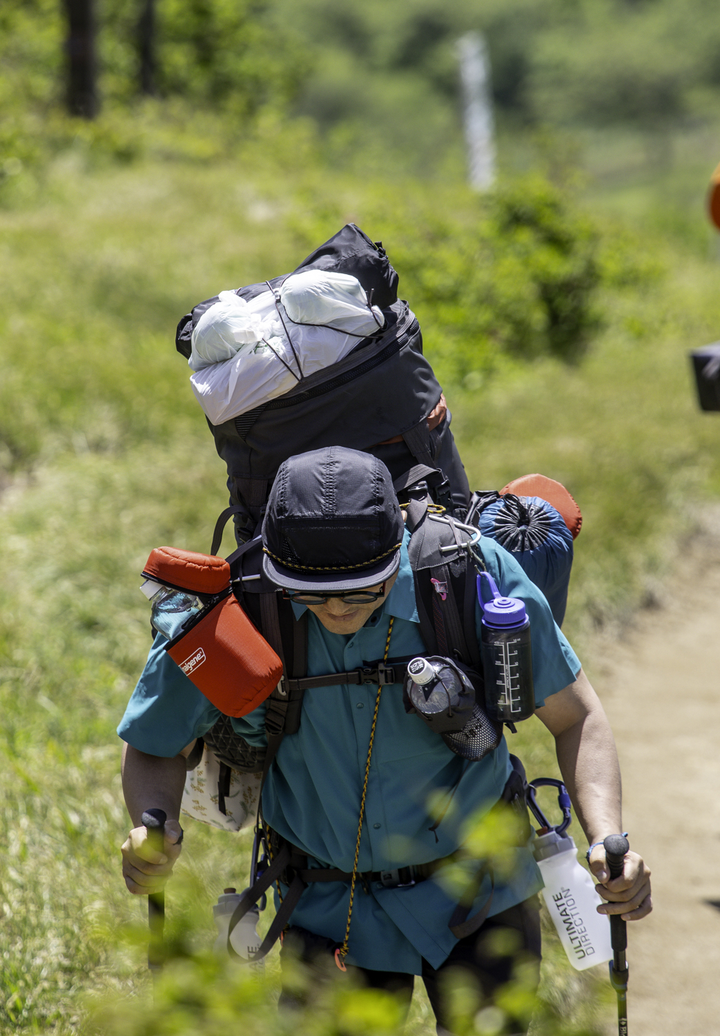 tnf100korea tnf100gangwon 노스페이스 트레일러닝대회 선자령 트레일러닝