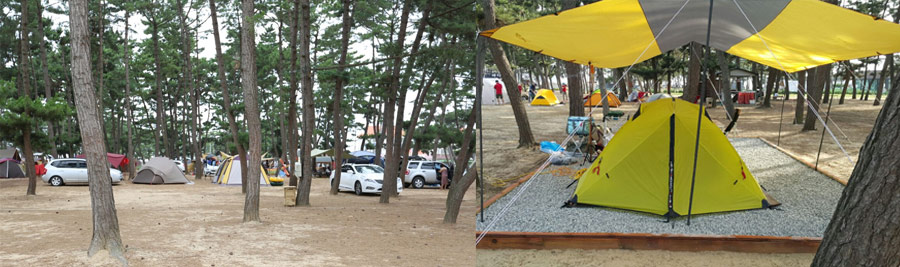 몽산포패밀리데이 캠핑장 사진