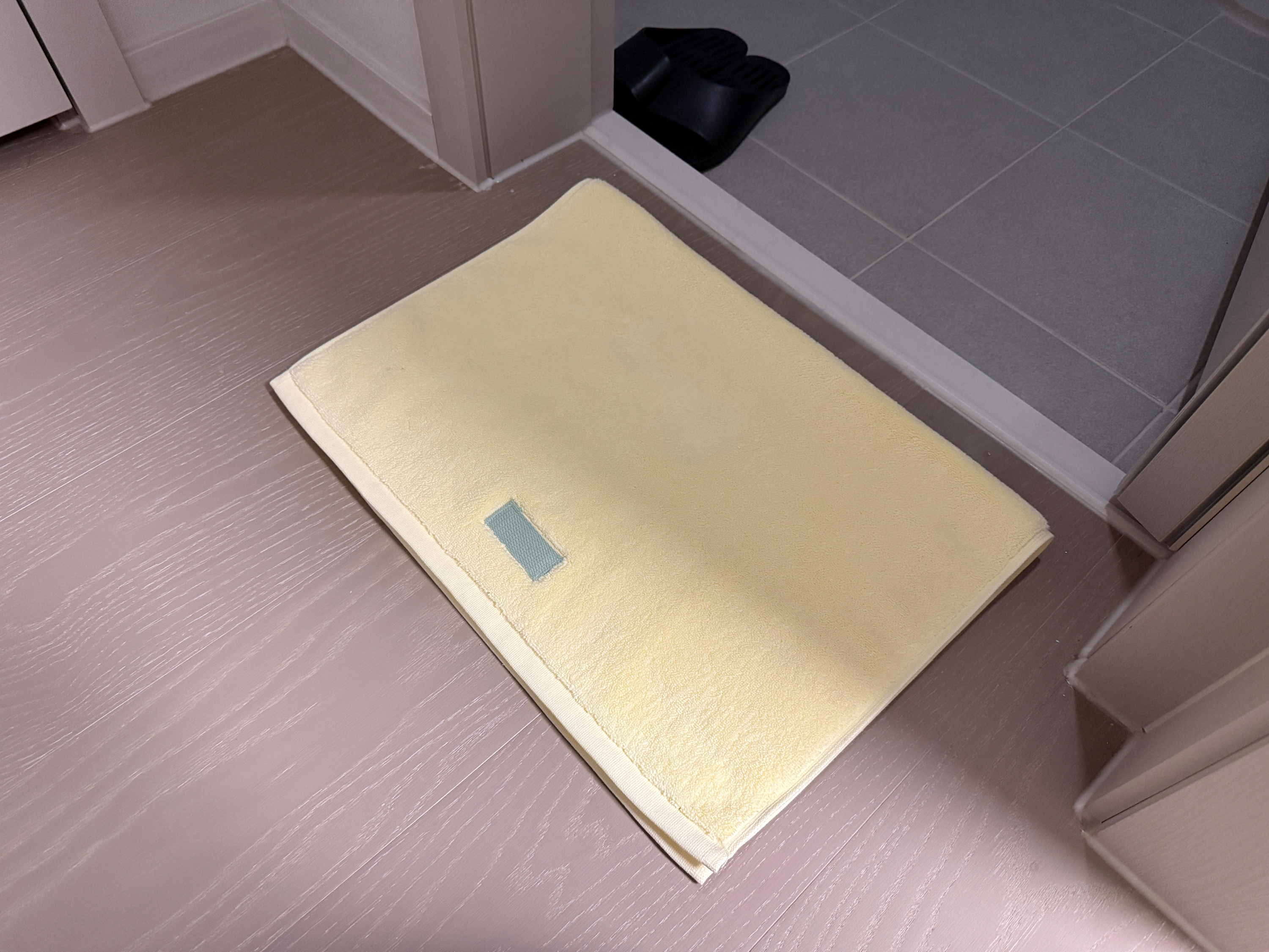 레미제이 발매트 내돈내산 신혼집 구매 후기