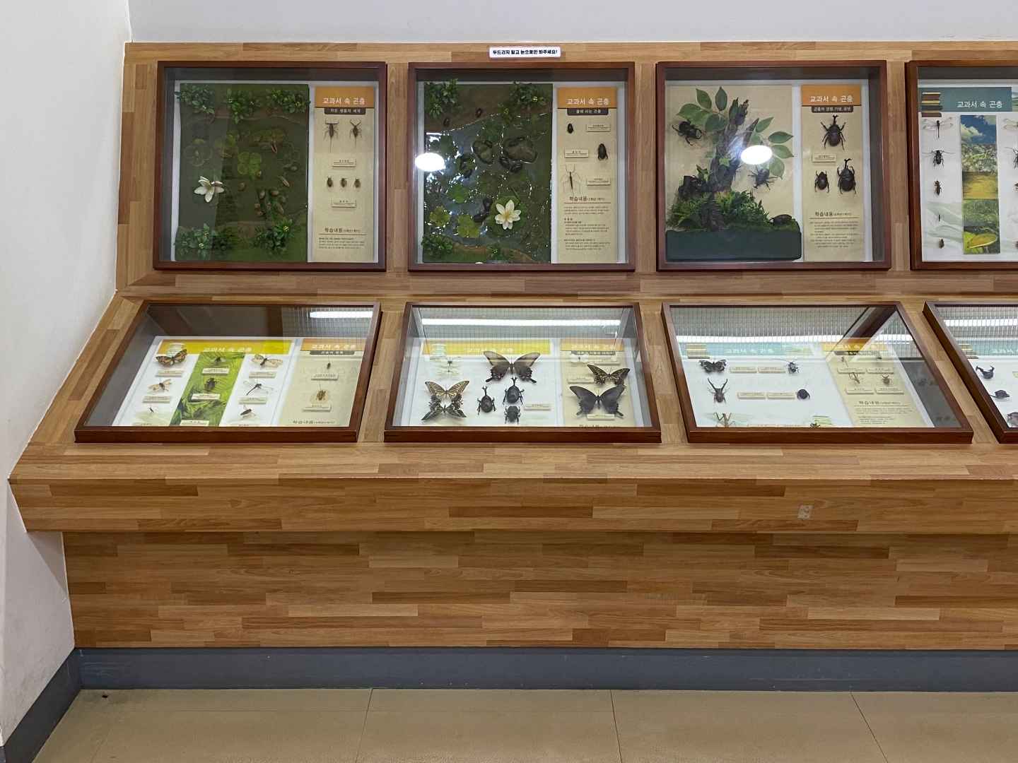 아산생태곤충원