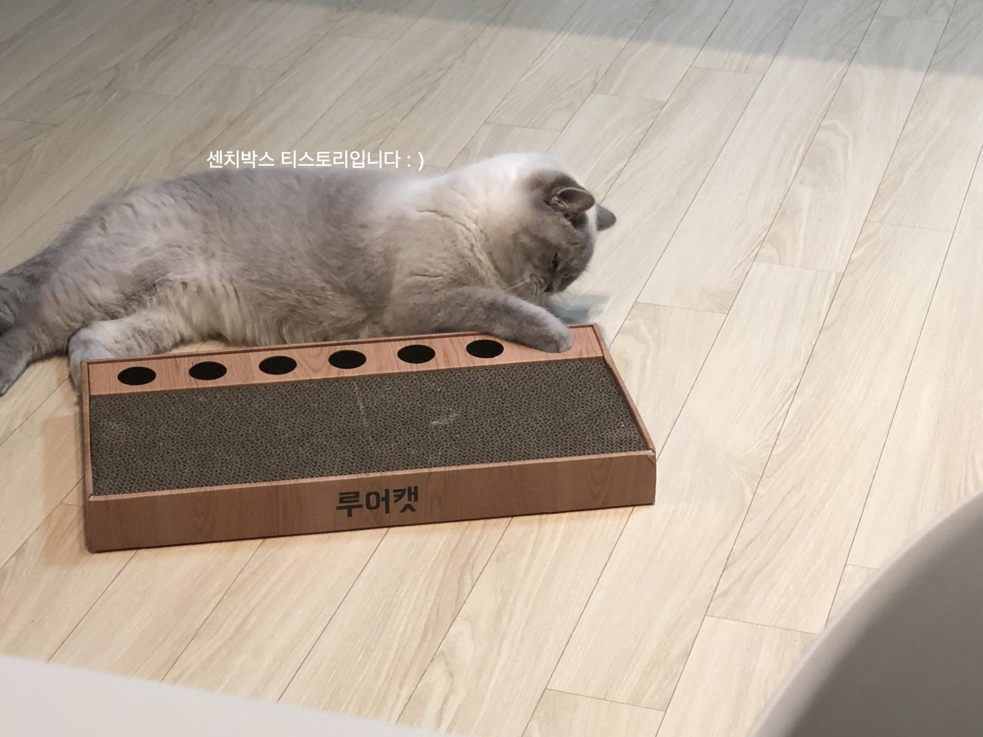 스크래쳐 추천4