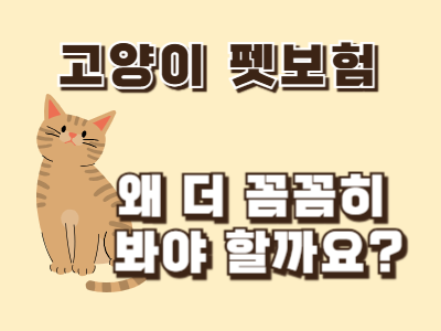고양이 펫보험 가입 전 꼭 알아야 할 것: 구내염&middot;비뇨기&middot;질병이력 조건 정리
