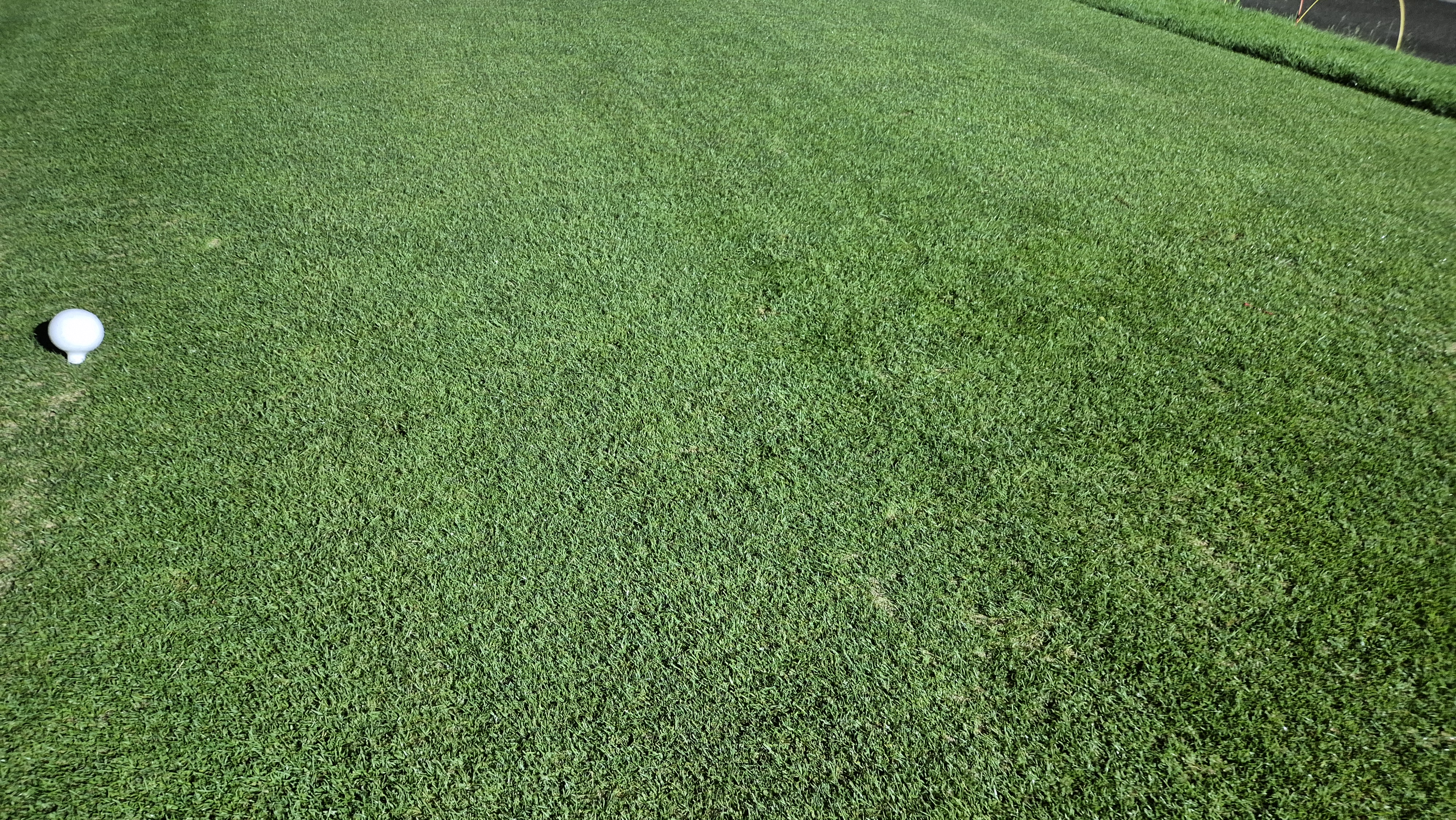 이포cc 라운드 후기