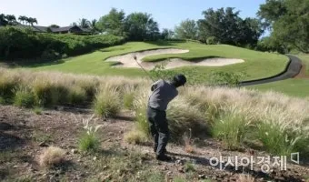 골프러프탈출 요령 로프트 선택 파워감소 라이판단_32