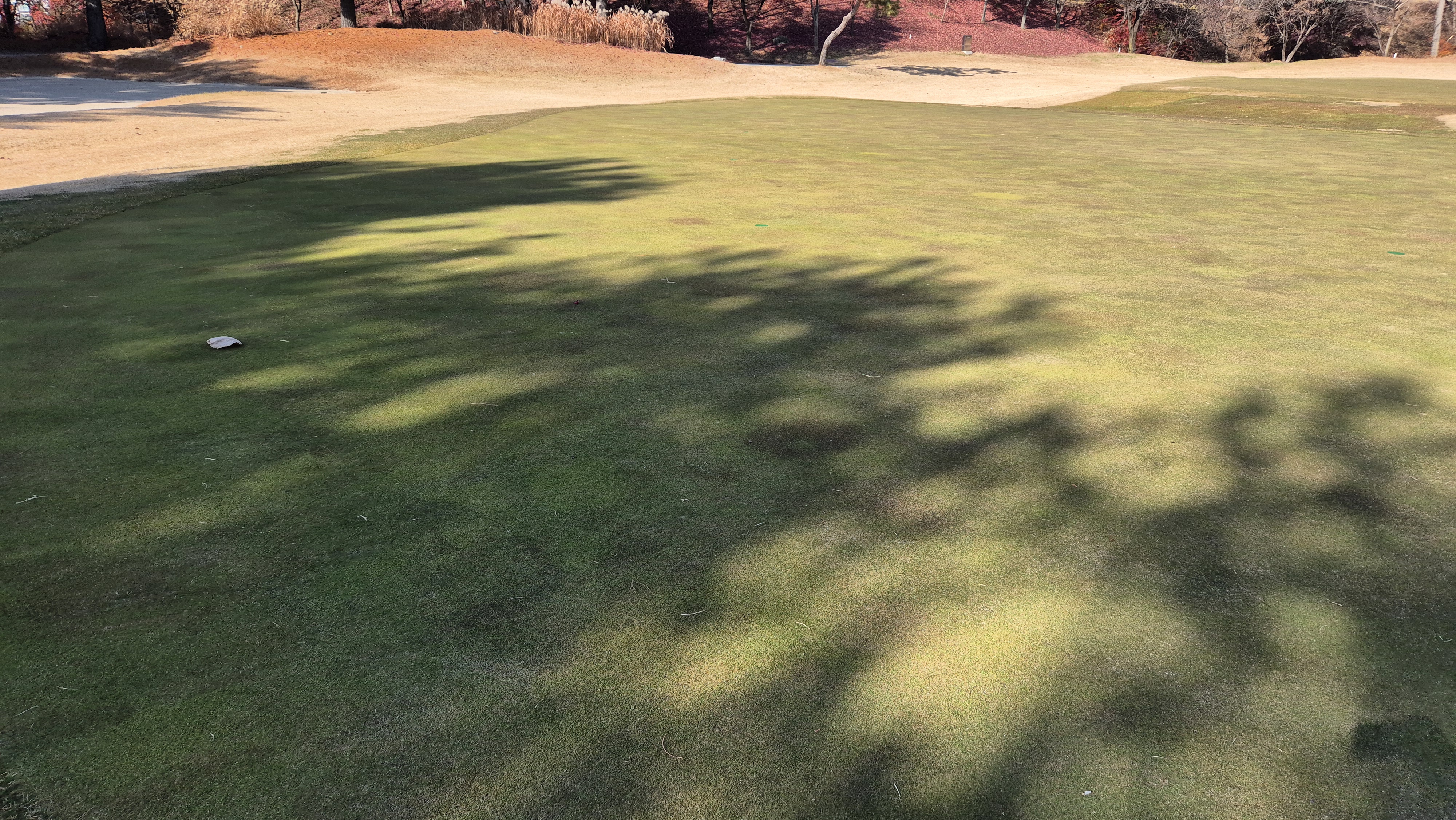 88cc 서코스 그린빠르기 및 난이도