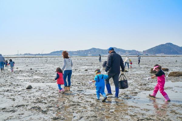 고창 만돌갯벌 해루질 장면
