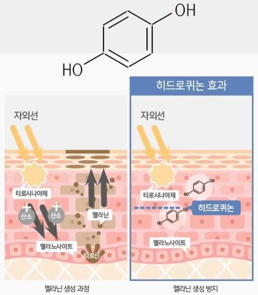 멜라토닝 크림