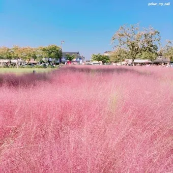 가을 경주 여행 가볼만한곳 베스트 10으로 정리_9