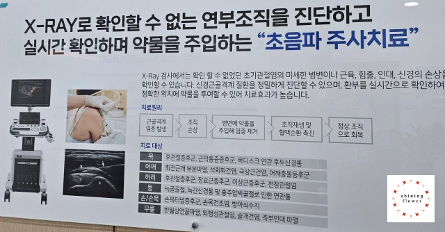 A정형외과 초음파 주사치료 안내문