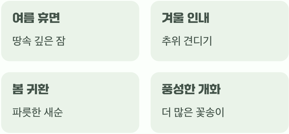 내년 봄&amp;#44; 반드시 돌아온다는 약속