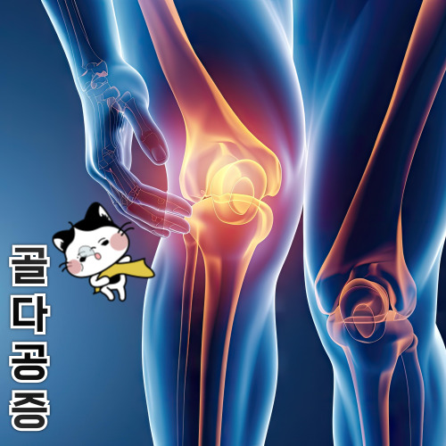 골다공증이란?